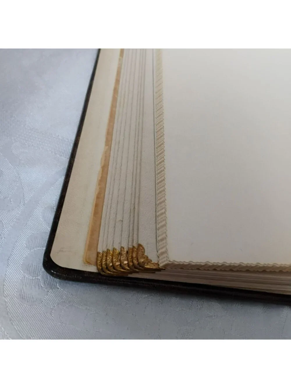 Vintage MCM Our Family Cowhide Leather Photo Album Brass Corners Gold Trim